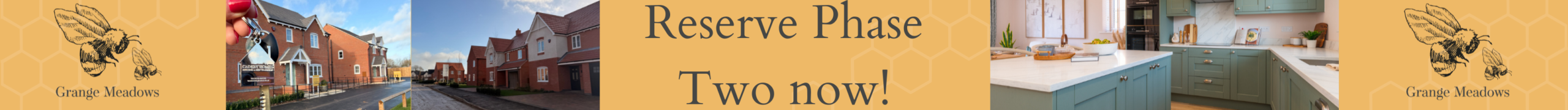 Now open web banner updated-2